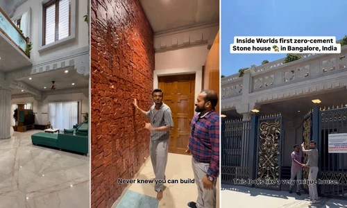 Casa din India, construită fără ciment, creată pentru a dura peste 1000 de ani Colaj Instagram