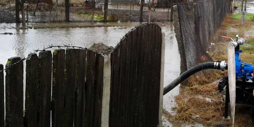 calarasi inundatii