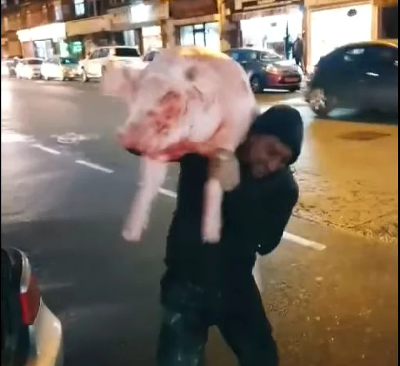 Un român a luat în spate porcul şi a traversat cu el, spre amuzamentul prietenilor săi. FOTO Captură videp