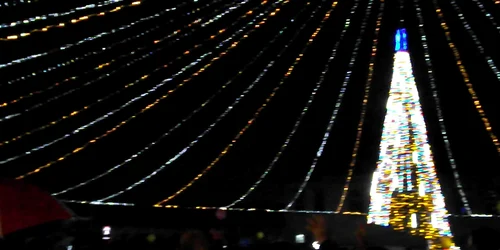 5a21847f5ab6550cb8bd716d jpg