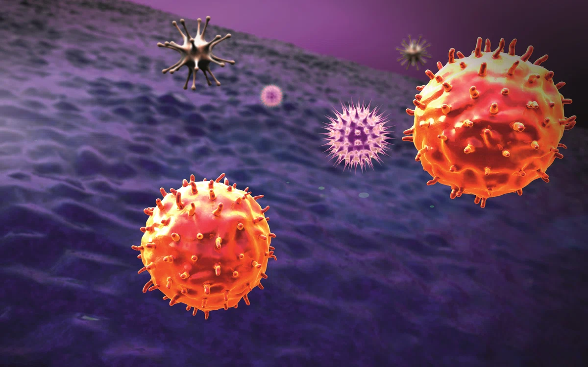 Celulele canceroase se înmulțesc necontrolat FOTO Shutterstock