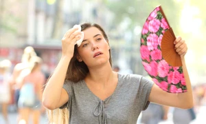canicula jpg