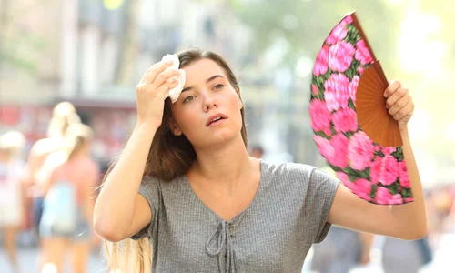 canicula jpg