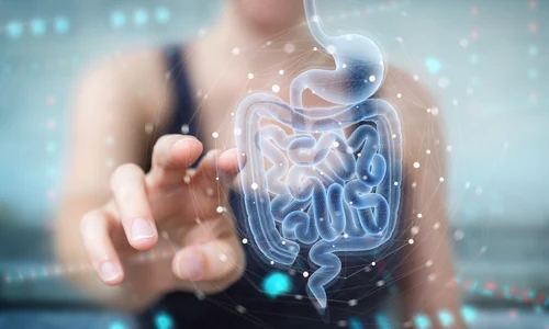 shutterstock 1647269665 (1) jpg