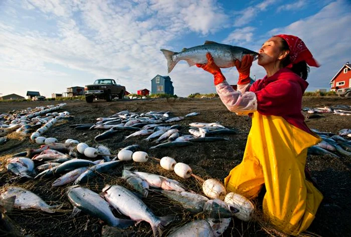 michael melford book hidden alaska salmon 33612 600x450 jpg jpeg