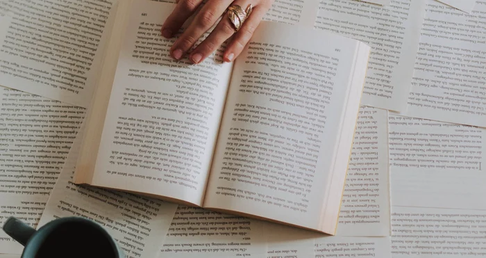 Care este varianta corectă: tobogan sau topogan? / foto: Pexels