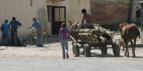 A căzut din căruţă (foto arhivă)