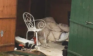 24 peglob foto1 3col 150 jpeg