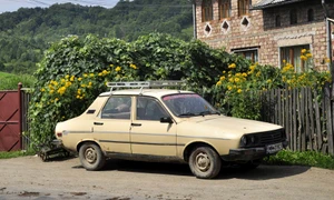Cu o mie de lei în buzunar oare te simți mai bogat? jpeg