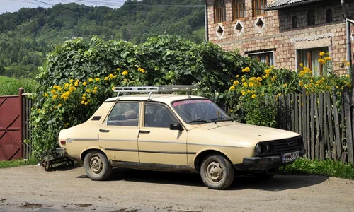 Cu o mie de lei în buzunar oare te simți mai bogat? jpeg