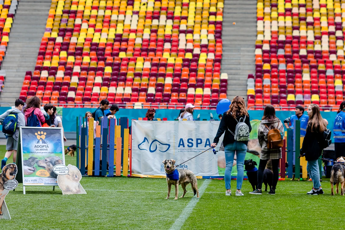 Prima ediție a sărbătorii dedicate câinilor de pe Stadionul Național a avut loc anul trecut