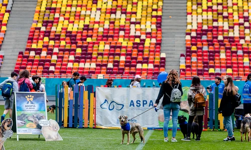 ASPA Arena 26 0 jpg