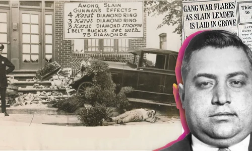 d5cc5f 775cc793d6d1405db7ec363688ea70fb~mv2 png