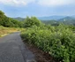 Privelisti de pe Transalpina Pădurenilor Foto Daniel Guță (12) jpg
