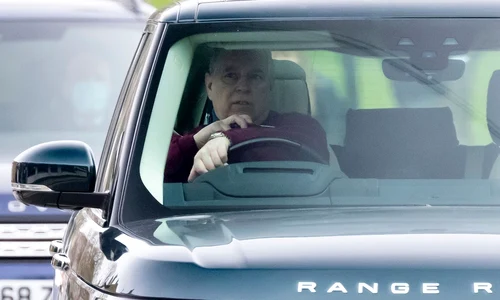 3 profimedia 0599436140 jpg jpeg