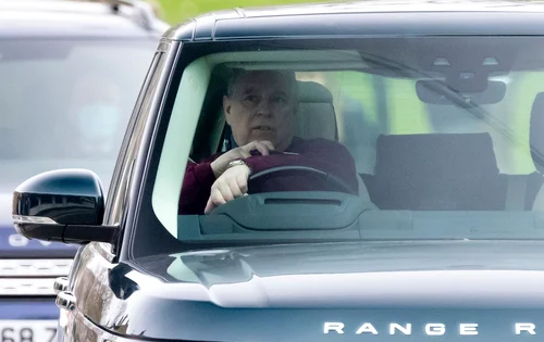 3 profimedia 0599436140 jpg jpeg