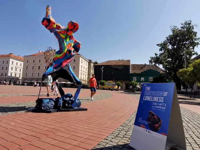 Lucrarea lui Ioan Nasta din Piața Libertății FOTO Ștefan Both