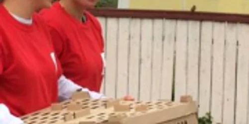 mici electorali vaslui