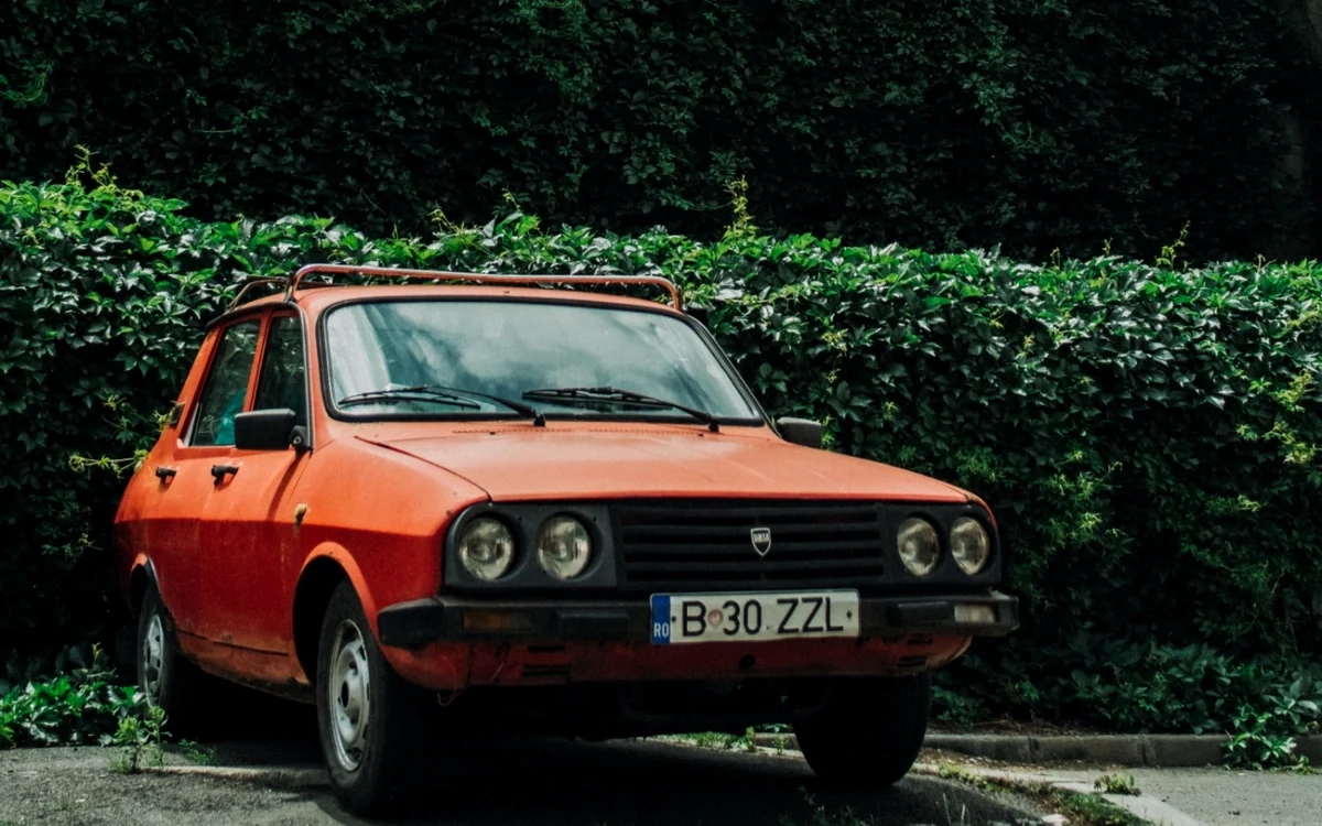 Sursă foto: Dorel Gnatiuc - unsplash.com