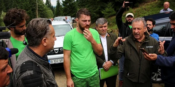 confruntare greenpeace romania romsilva 