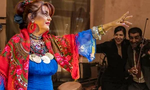 banner rona hartner jpg