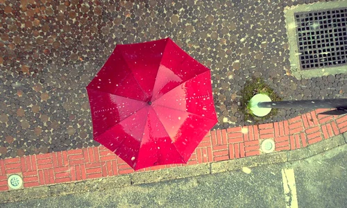 phonebrella jpeg