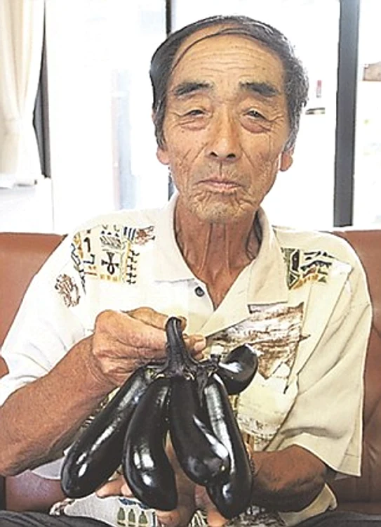 Legume afectate de radiațiile de la Fukushima