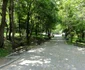 parc pitesti slatina