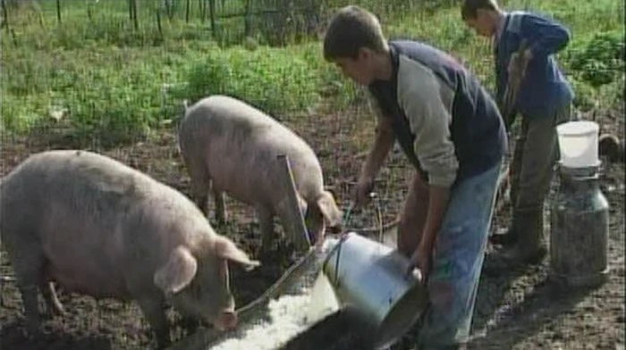 Arad: Fermierii arădeni nu îşi mai doresc utilaje agricole noi