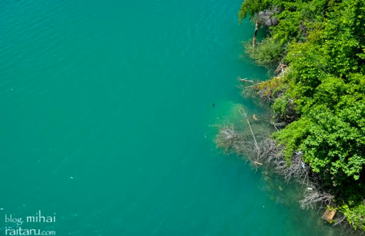 lacul paltinu foto trivo.ro