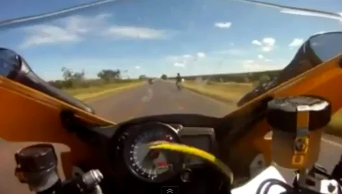 Şarpele se mişca fără probleme la 250 km/h.