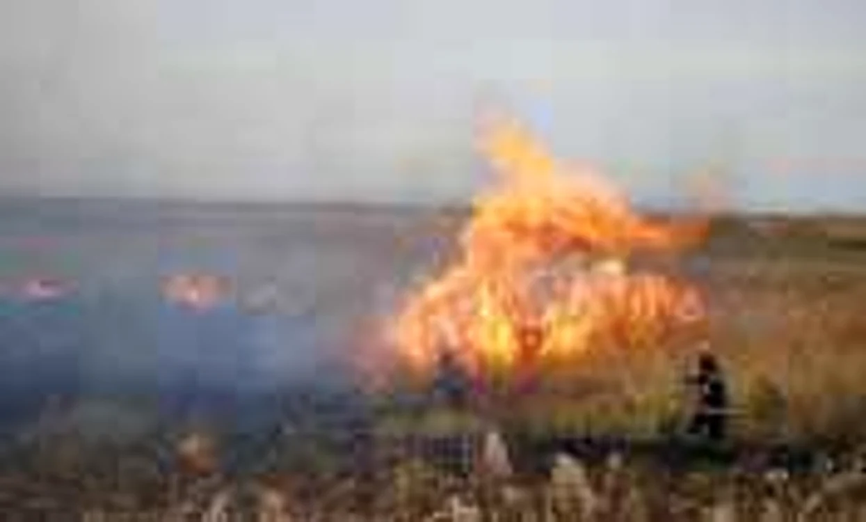 Incendiile de vegetaţie uscată au mistuit zeci de hectare în Prahova Foto: arhiva Adevărul