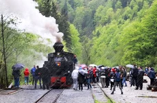 Cu mocăniţa pe Valea Vaserului: o plimbare de basm jpeg