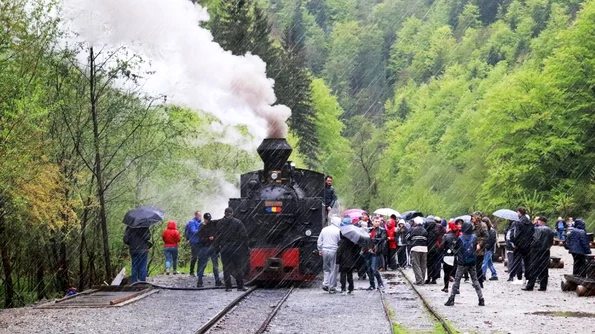 Cu mocăniţa pe Valea Vaserului: o plimbare de basm jpeg