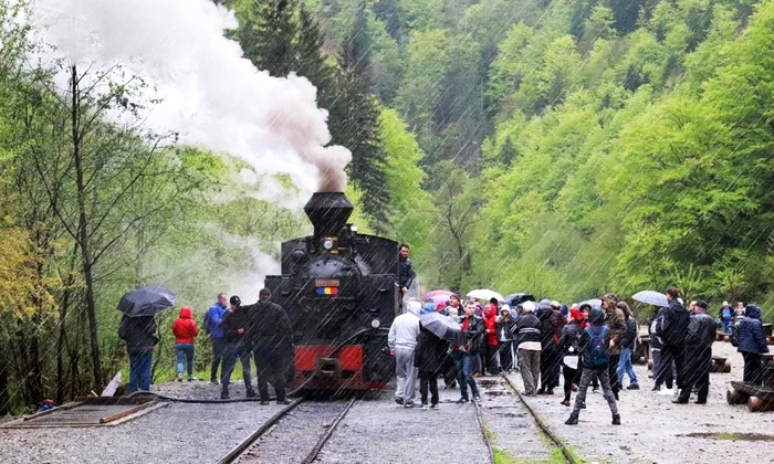 Cu mocăniţa pe Valea Vaserului: o plimbare de basm jpeg