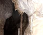 Peştera Vulpilor Foto