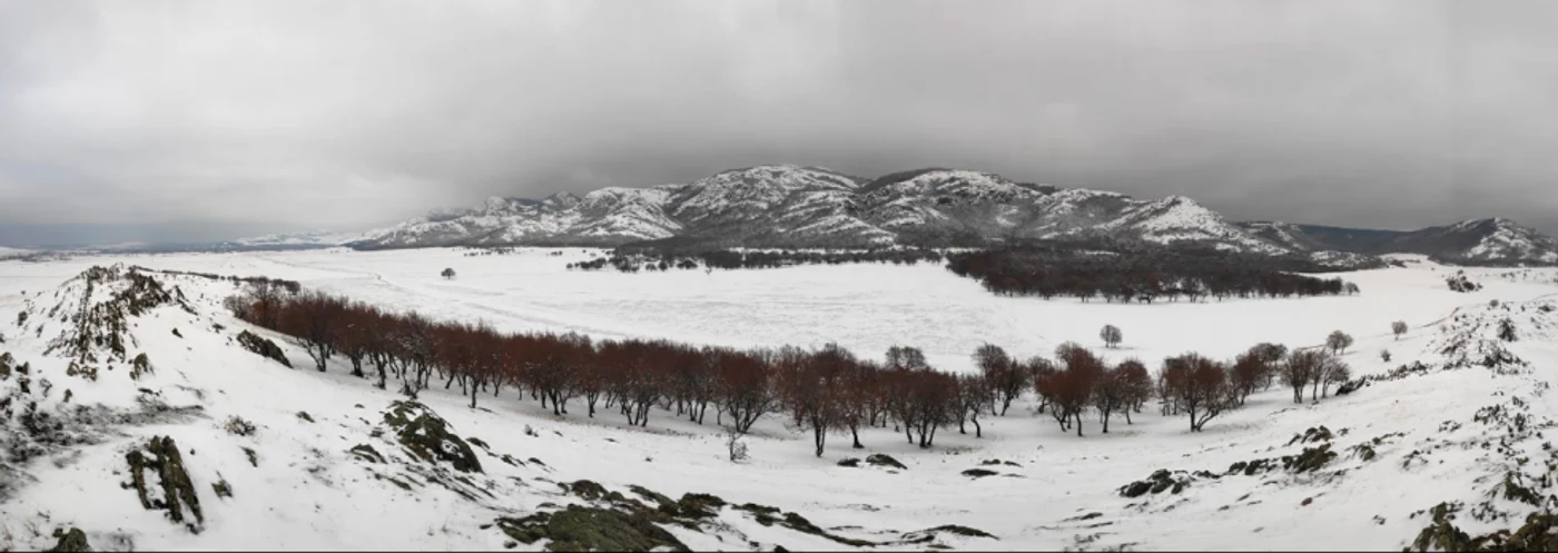 Zăpadă pe Munţii Măcinului la Greci - Dobrogea Sursa Ştefan Cioran