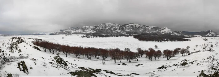Zăpadă pe Munţii Măcinului la Greci - Dobrogea Sursa Ştefan Cioran