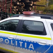 pilitie transport lemne