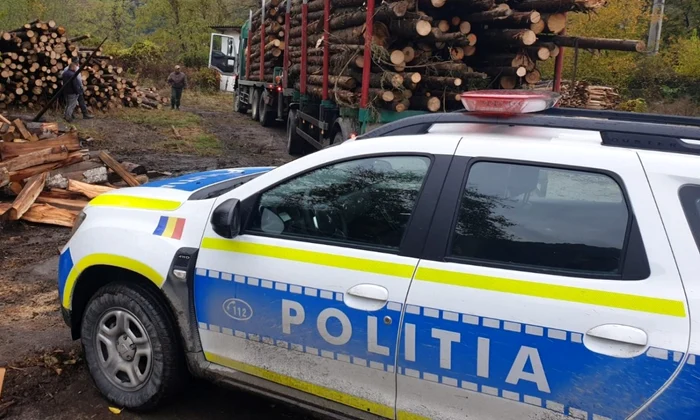 pilitie transport lemne