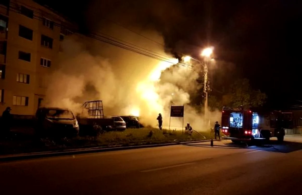 Maşini incendiate la Curtea de Argeş FOTO ISU Argeş