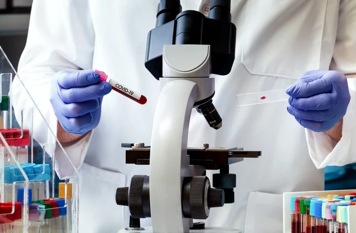 
    foto: Shutterstock.com  