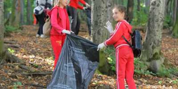 Voluntarii au strâns de 7 metri cubi de deşeuri