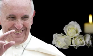 banner papa 5 jpg