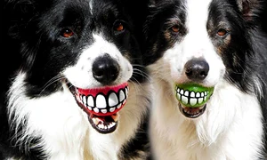 dog gifts 1 jpeg