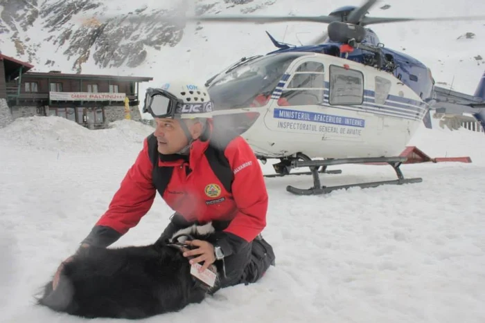 caini avalansa arges ion sanduloiu