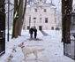 10 familia regala craciun savarsin margareta surorile ei fiicele regelui mihai 9 alma jpg jpeg