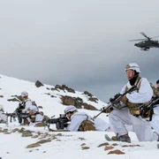 Arctic Sentry exercitiu nato danemarca jfif