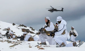 Arctic Sentry exercitiu nato danemarca jfif