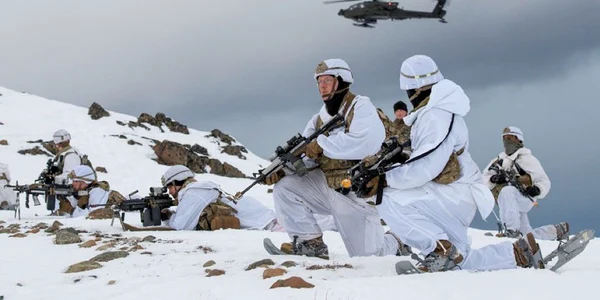 Arctic Sentry exercitiu nato danemarca jfif